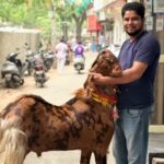 Bakrid Advisory: दिल्ली में बकरीद पर पशु क्रूरता कानून के सख्त पालन का निर्देश, एडवाइजरी जारी