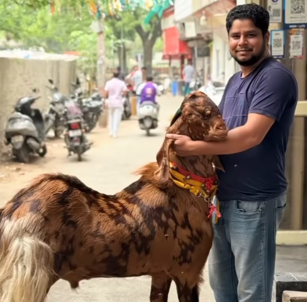 Eid ul Azha 2025
